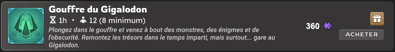 Boutique raids de guilde
