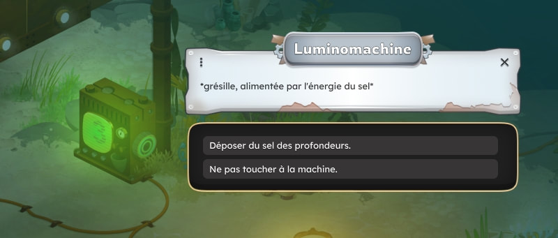Dépôt de sel